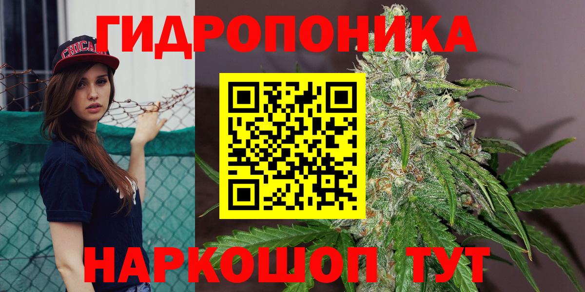 Конопля марихуана Будённовск